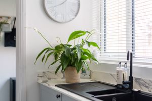 Photo 30- click for photo gallery